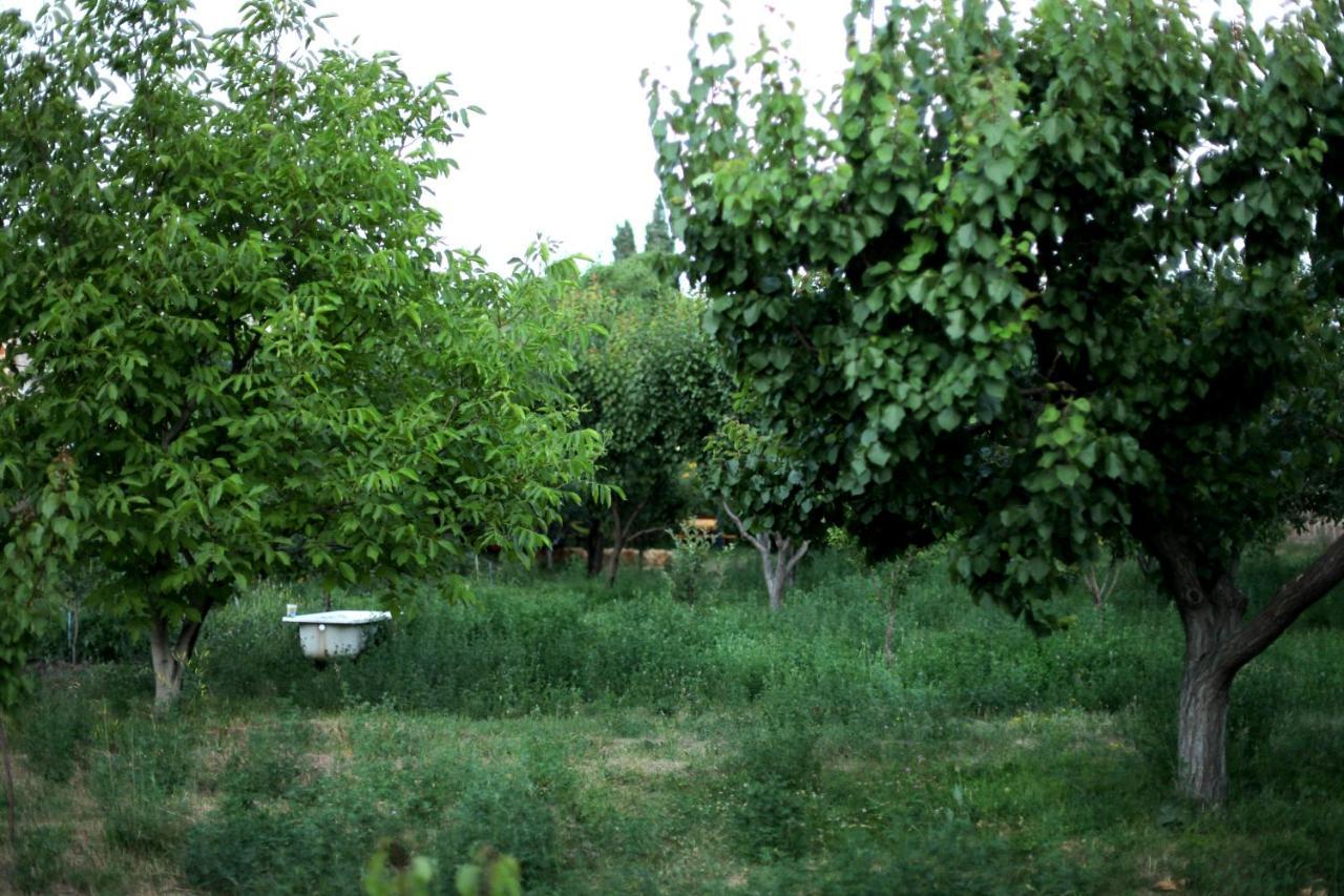 Noosh Guesthouse Ashnak Екстериор снимка